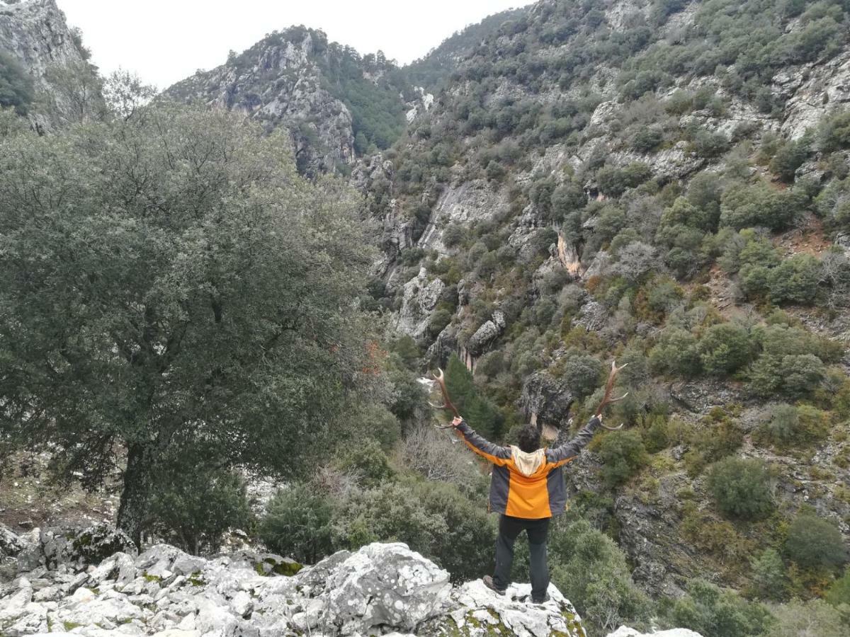 דירות ארויו פריו Capellania 7 מראה חיצוני תמונה